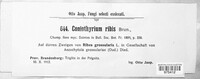 Coniothyrium ribis image